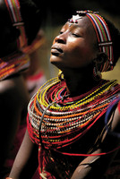 Samburu National Reserve, Kenya.