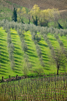 Tuscany, Italy.