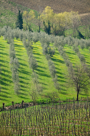 Tuscany, Italy.