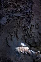 Prince Phillips Steps, Genovesa Island, Galápagos.
