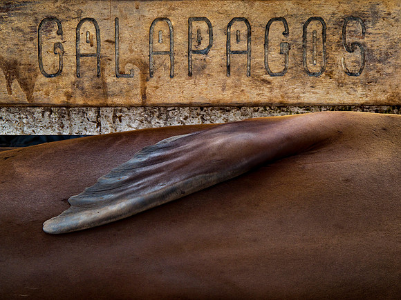 Galápagos.