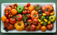 Pascale's Cook Books, Pascale's Kitchen