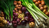 Pascale's Cook Books, Pascale's Kitchen