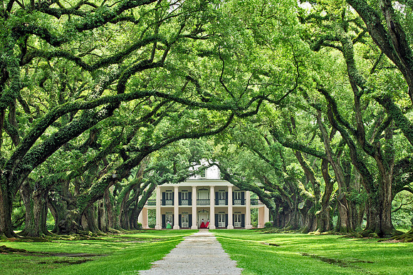 Oak Alley Plantation, Mississippi River Road, Louisiana.