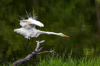Petty Gulf Lake, Florida.
