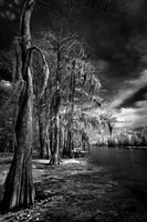 Lower Grand River, Louisiana.
