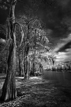 Lower Grand River, Louisiana.