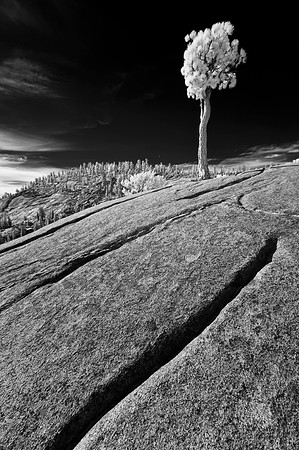 Tioga Pass, California.