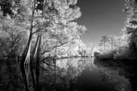 Henderson, Louisiana.